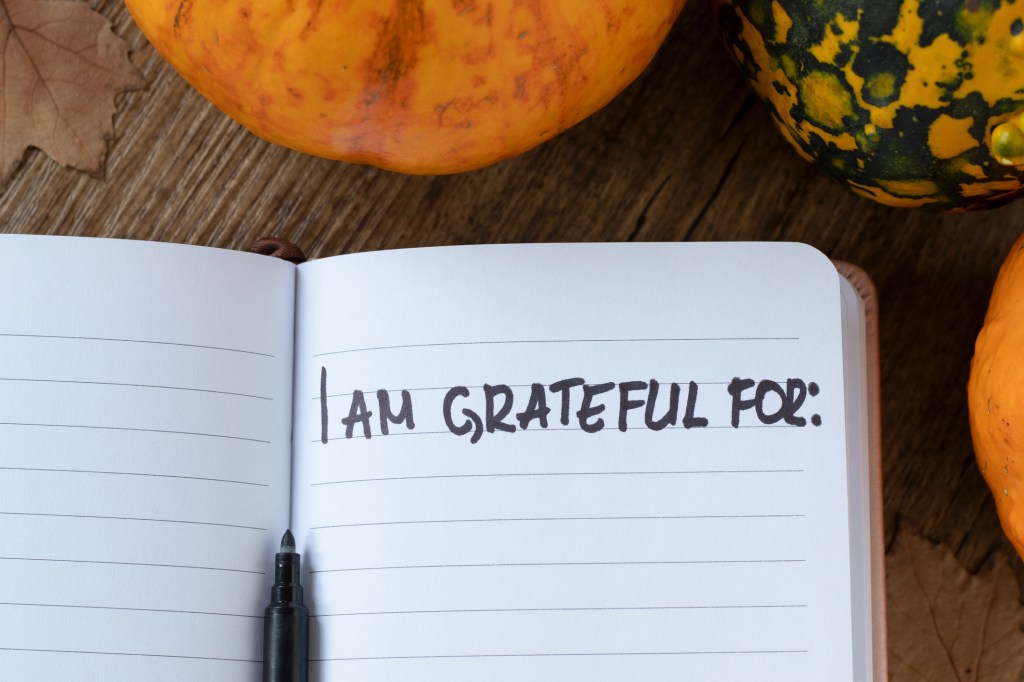 100 Things I am Grateful For: Thanksgiving 2025&nbsp;Edition